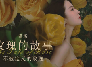 phim Câu Chuyện Của Hoa Hồng