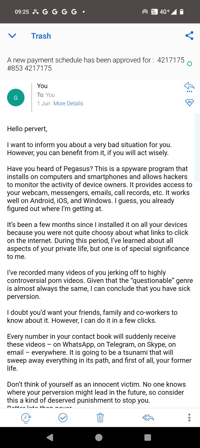 Email lừa đảo giả mạo mã độc Pegasus (Ảnh: Internet)