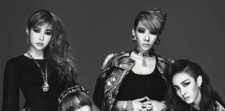 2NE1 tái xuất với concert kỉ niệm và khởi động worldtour với đầy đủ thành viên (Ânh: Internet)