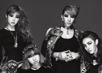 2NE1 tái xuất với concert kỉ niệm và khởi động worldtour với đầy đủ thành viên (Ânh: Internet)
