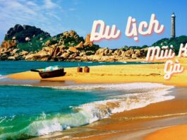 Cẩm nang du lịch Mũi Kê Gà (Ảnh: BlogAnChoi)