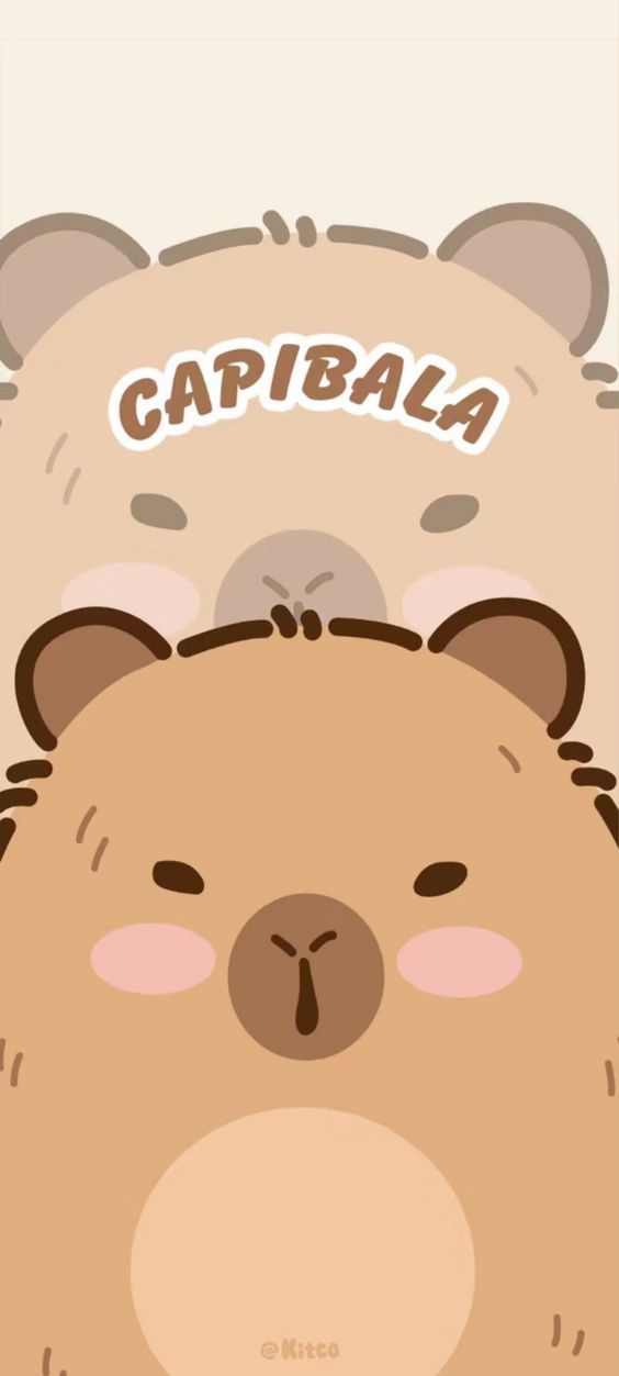 Hình nền Capybara siêu đáng yêu