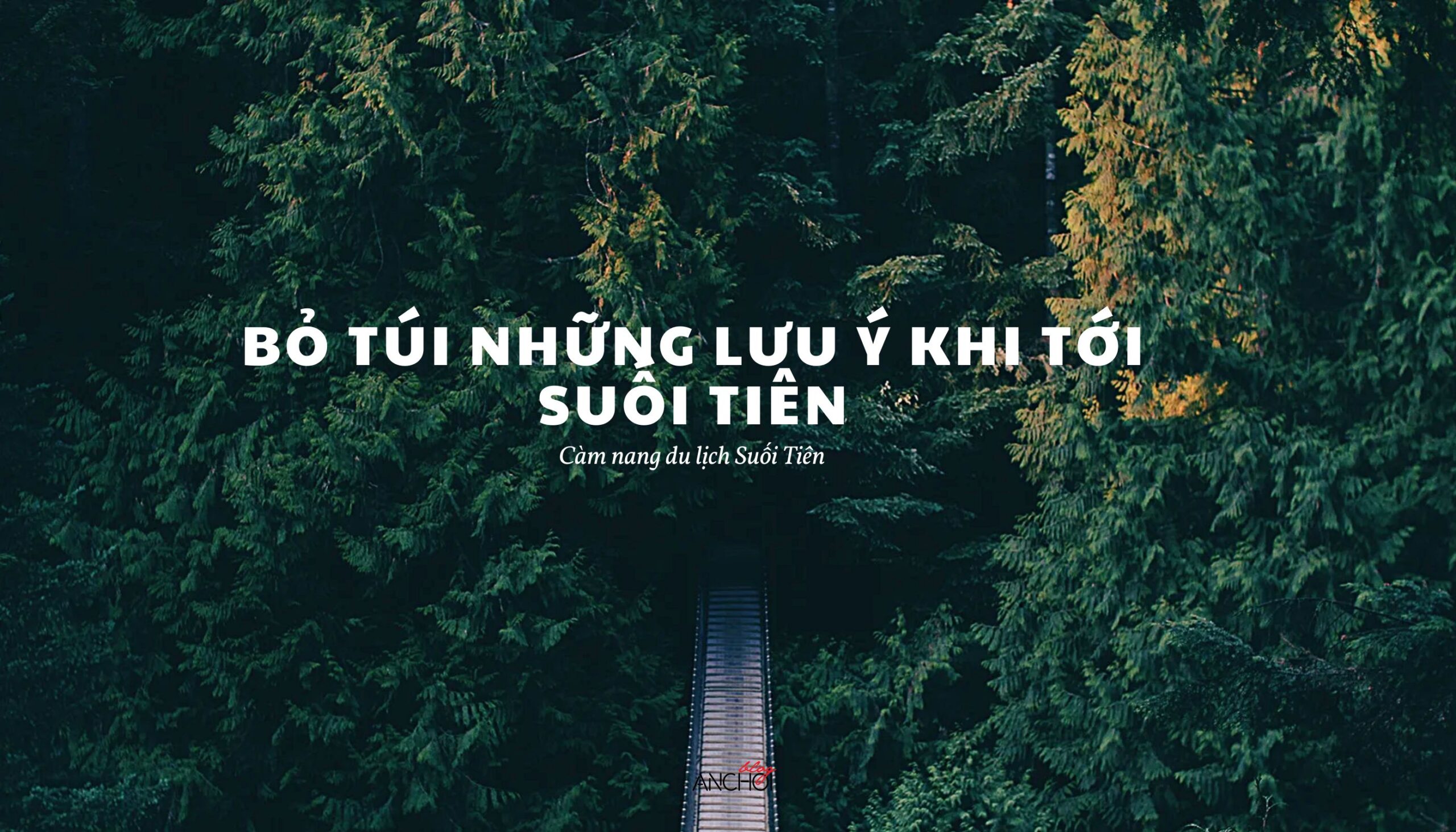 Cẩm nang du lịch Suối Tiên - những lưu ý khi tới Suối Tiên (Ảnh: BlogAnChoi)