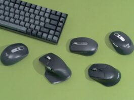 Các loại chuột khác nhau (Ảnh: Internet)