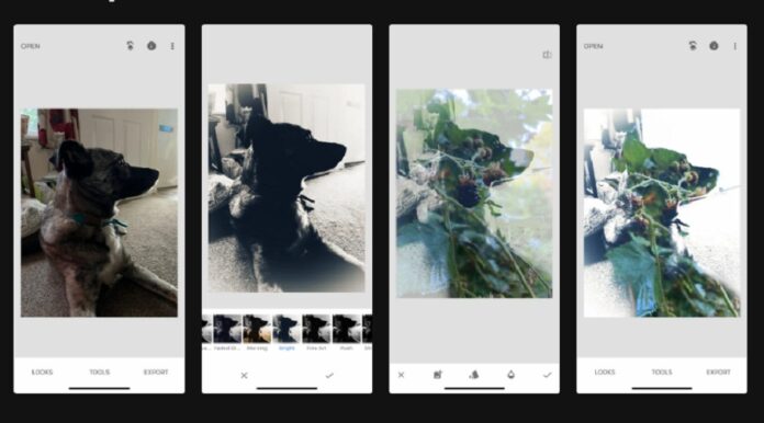 Tạo hiệu ứng phơi sáng kép cho hình ảnh bằng ứng dụng Snapseed (Ảnh: Internet)