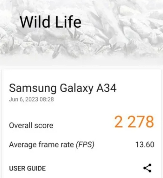 Kết quả phép đo hiệu suất 3DMark Wild Life của điện thoại Galaxy A34 5G (Ảnh: Internet)