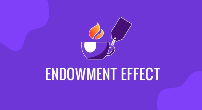 Endowment Effect là gì?