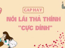 200+ câu nói lái thả thính, câu nói ngược hài hước, bá đạo