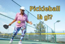 Pickleball là gì? (Nguồn: Internet)