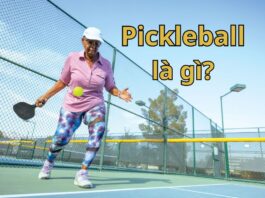 Pickleball là gì? (Nguồn: Internet)