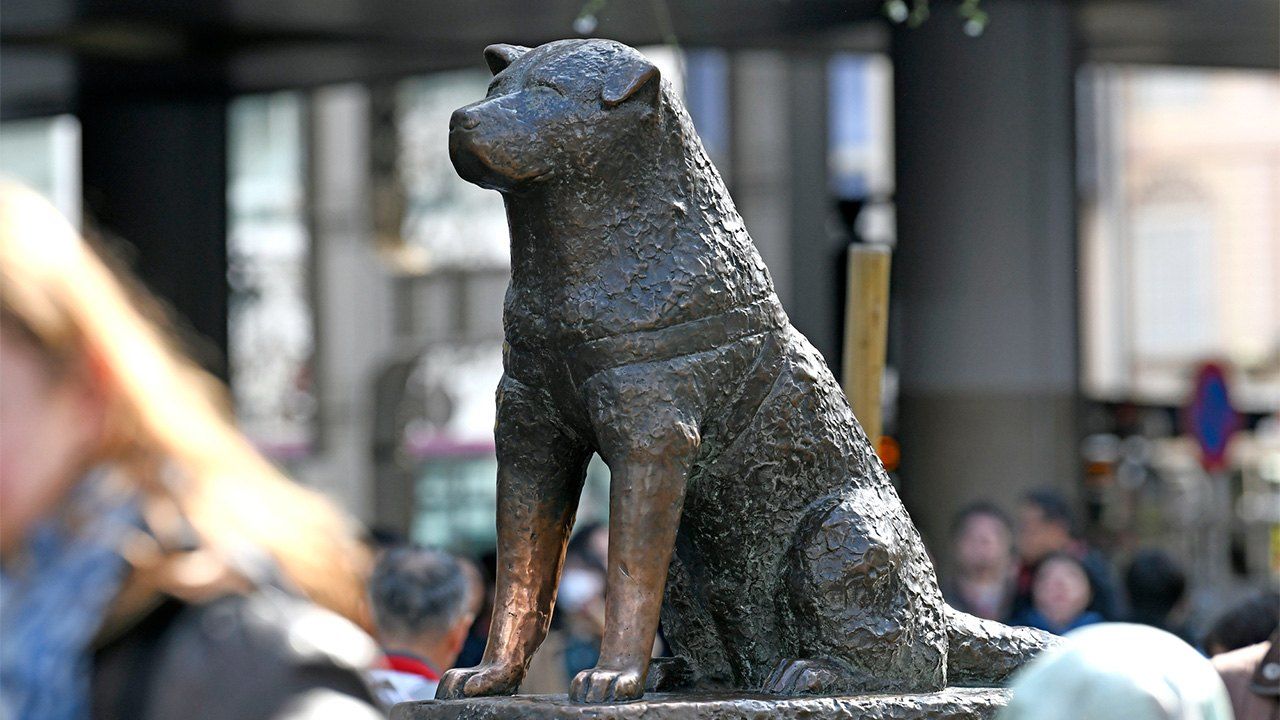 Hachikō