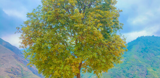 12 bài học quý giá từ việc du lịch một mình