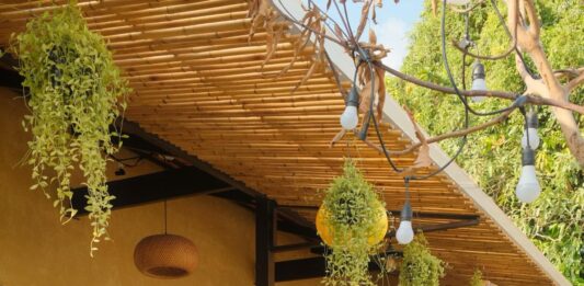 Trải nghiệm The Mango Trail Farmstay: Homestay ở Đồng Tháp, du lịch miệt vườn, khám phá đặc sản vườn xoài Cao Lãnh