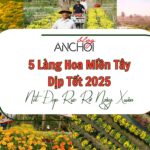 5 làng hoa miền Tây Tết 2025