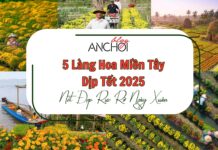 5 làng hoa miền Tây Tết 2025