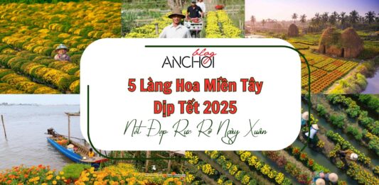 5 làng hoa miền Tây Tết 2025