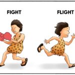 Fight or Flight (Nguồn: Internet)