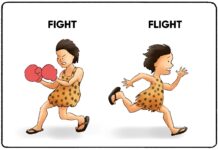 Fight or Flight (Nguồn: Internet)