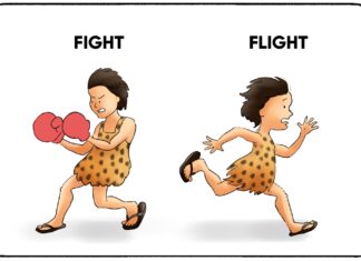 Fight or Flight (Nguồn: Internet)