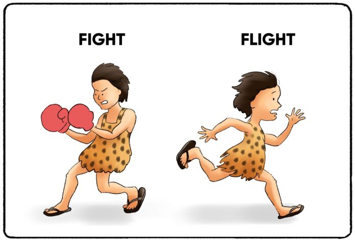 Fight or Flight (Nguồn: Internet)