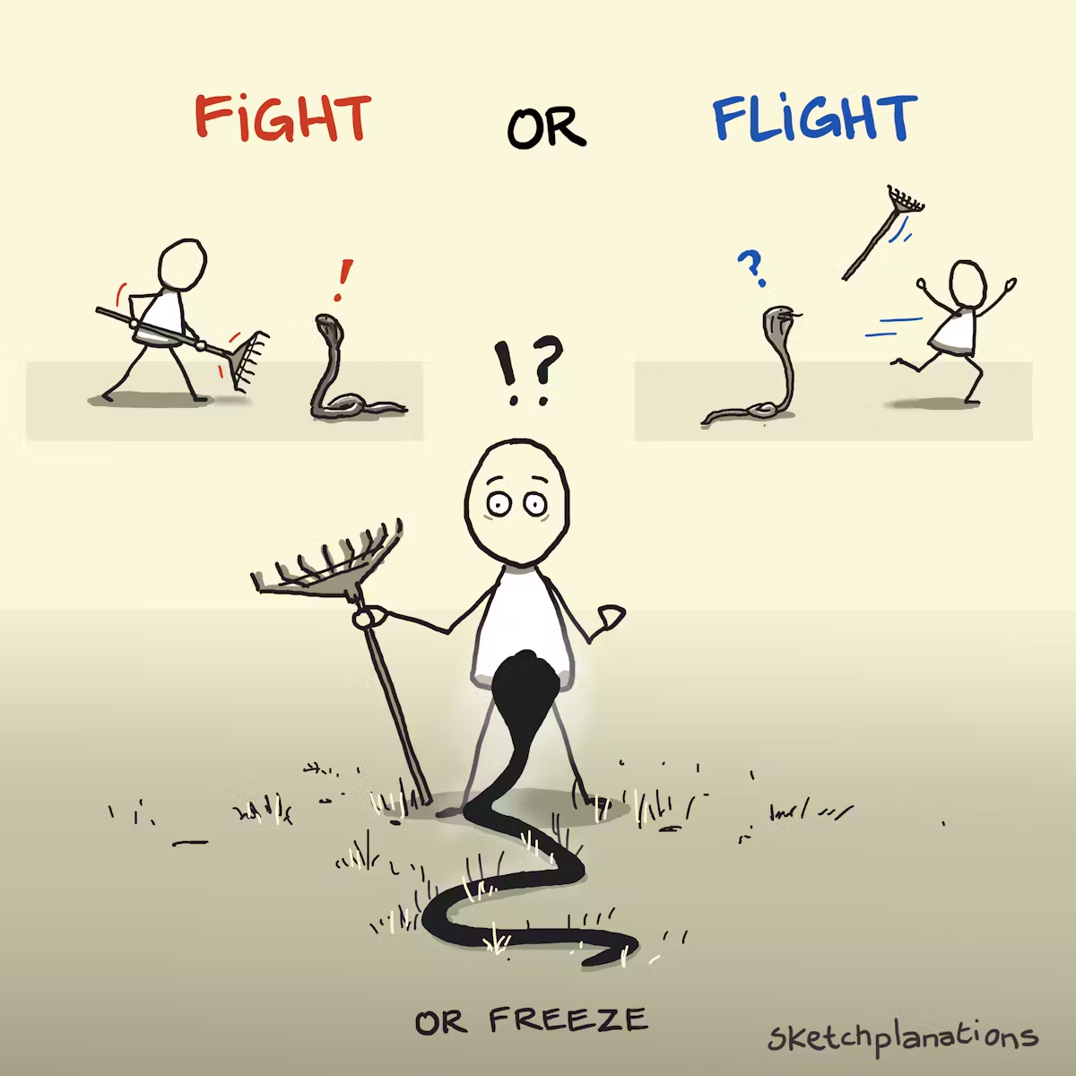 Fight or Flight