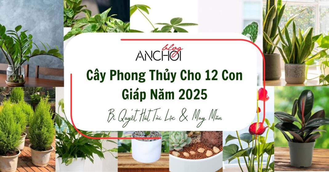 Cây Phong Thủy Cho 12 Con Giáp Năm 2025