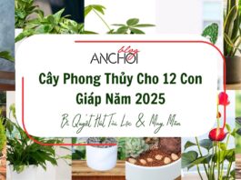 Cây Phong Thủy Cho 12 Con Giáp Năm 2025