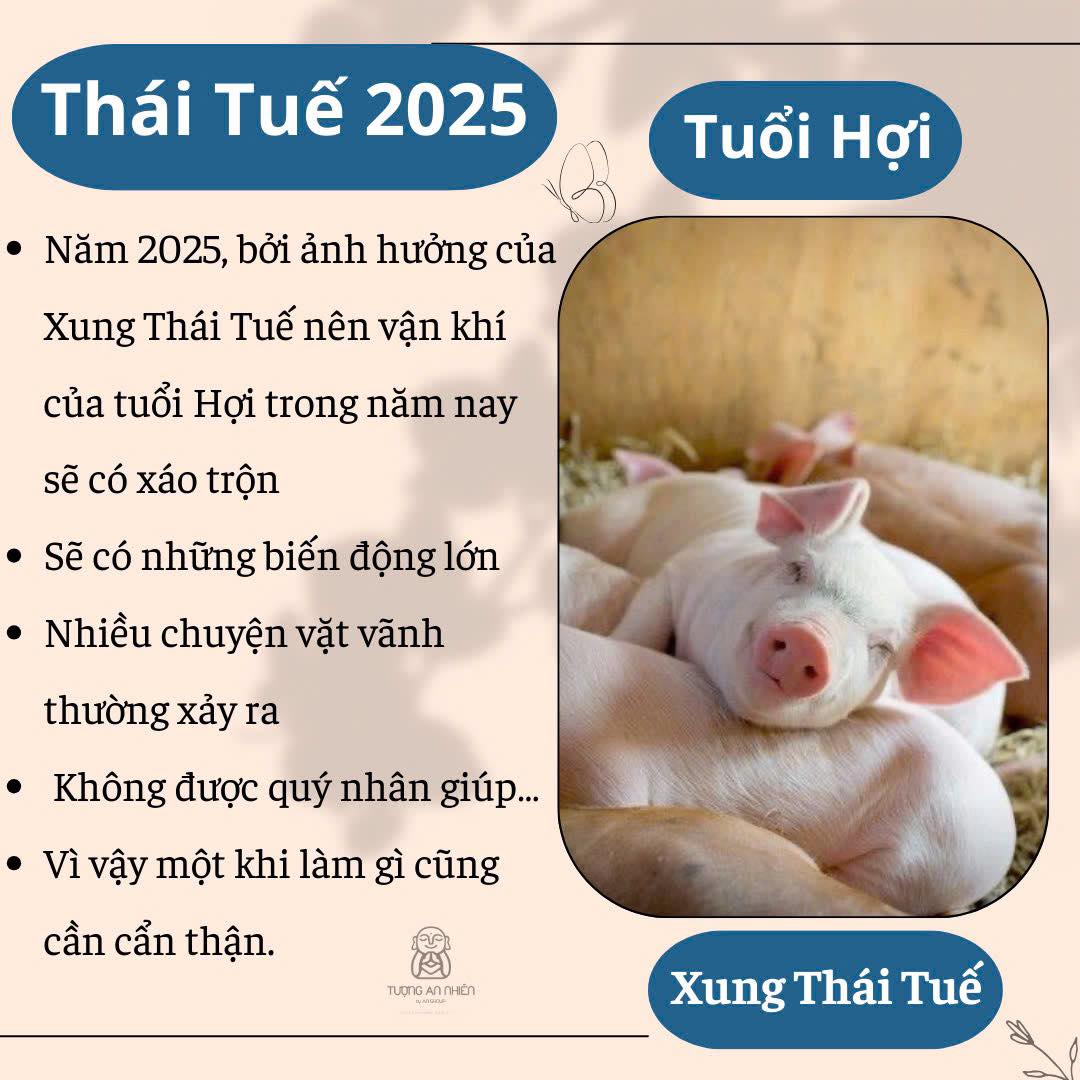 Tuổi Hợi phạm Thái Tuế 2025 (Ảnh: Internet)