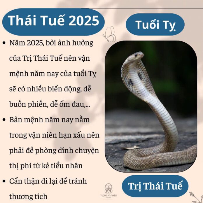 Tuổi Tỵ phạm Thái Tuế 2025 (Ảnh: Internet)