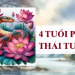 Thiết kế chưa có tên - 1