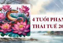 Thiết kế chưa có tên - 1