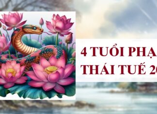 Thiết kế chưa có tên - 1