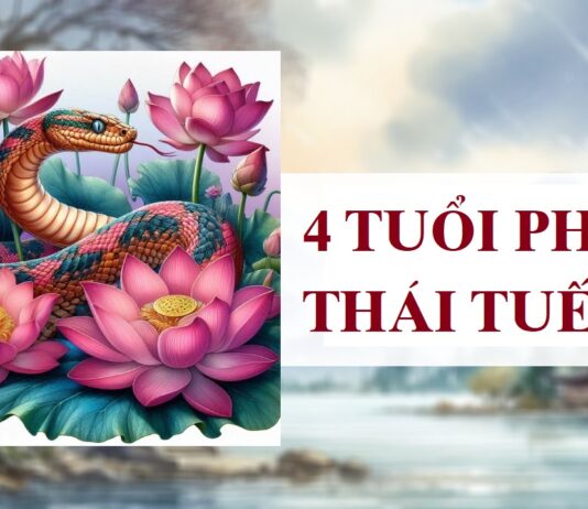 4 con giáp phạm Thái Tuế 2025: Cách giải hạn Thái Tuế đơn giản, không tốn kém Thiết kế chưa có tên - 1