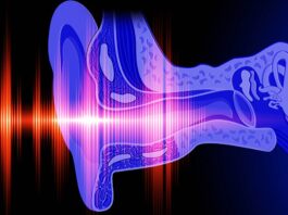 Auditory Illusion