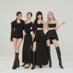 BLACKPINK đứng đầu bảng với chỉ số danh tiếng thương hiệu 11.241.703 điểm (Ảnh: Internet)