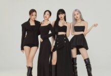 BLACKPINK đã có 2 năm tập trung vào các hoạt động cá nhân (Ảnh: Internet)