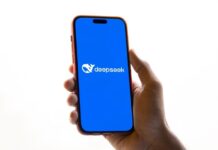 DeepSeek bị tấn công mạng quy mô lớn (Ảnh: Internet)