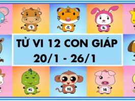 Tử vi 12 con giáp 20/01 – 26/01: 3 tuổi được thưởng Tết nhiều nhất