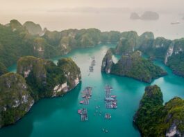 Du lịch Vịnh Hạ Long – Viên ngọc quý của Việt Nam Vịnh Hạ Long (Nguồn: Internet)