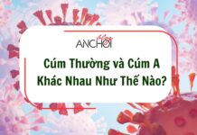 Cúm Thường và Cúm A