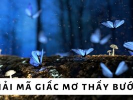 Mơ thấy bướm là điềm gì? Đàn ông, phụ nữ mơ thấy bướm tốt hay xấu?