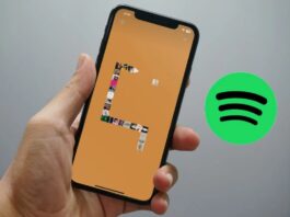 Trò chơi rắn săn mồi trên Spotify (Ảnh: Internet)