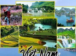 Top 5 Tỉnh Thành Có Vị Trí Đắc Địa Nhất Việt Nam