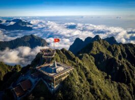 Fansipan (Nguồn: Internet)