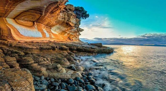 Kinh nghiệm du lịch đảo Maria – Thiên đường hoang sơ của Tasmania, Úc