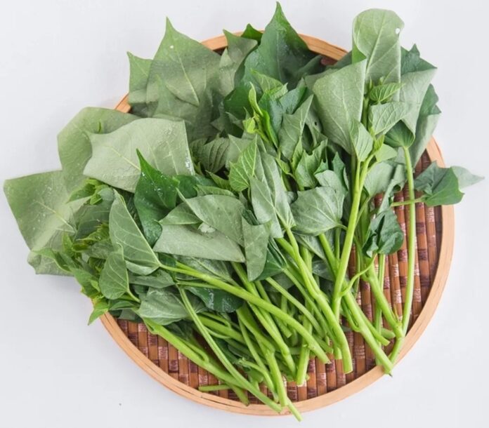 Các loại rau củ nhiều canxi hơn cả sữa (Ảnh: Internet)
