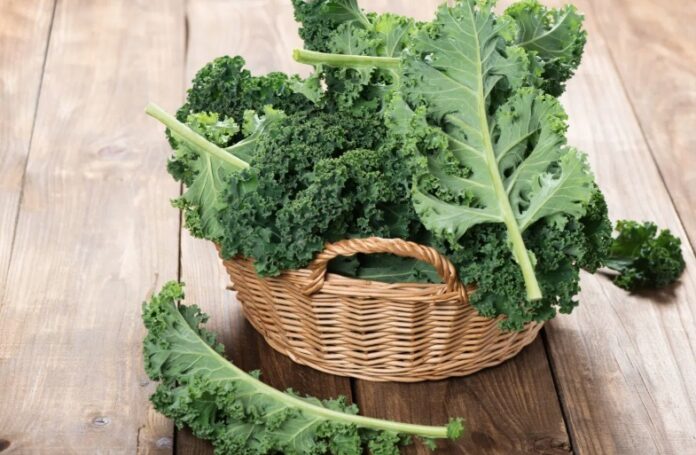 Các loại rau củ nhiều canxi hơn cả sữa (Ảnh: Internet)