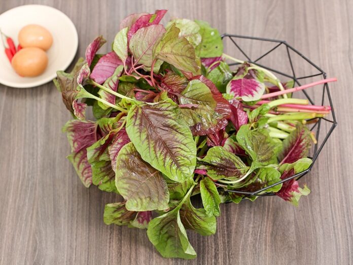 Các loại rau củ nhiều canxi hơn cả sữa (Ảnh: Internet)