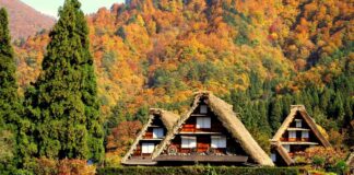 Khám phá Gokayama – Viên ngọc ẩn giữa núi rừng Nhật Bản