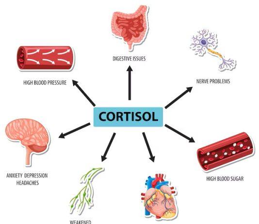 Cortisol là gì và vì sao căng thẳng kéo dài lại gây hại đến vậy? Cortisol